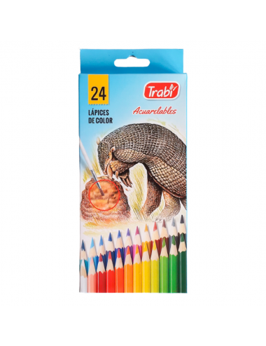 LAPIZ DE COLOR LARGOS...