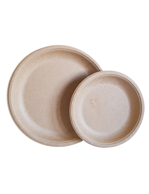 PLATO BIODEGRADABLE 17 CM...