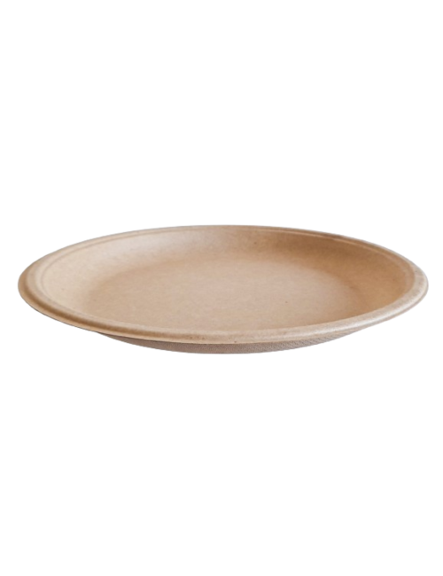 PLATO BIODEGRADABLE 22 CM...