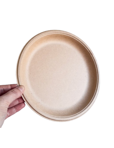 PLATO BIODEGRADABLE 22 CM...