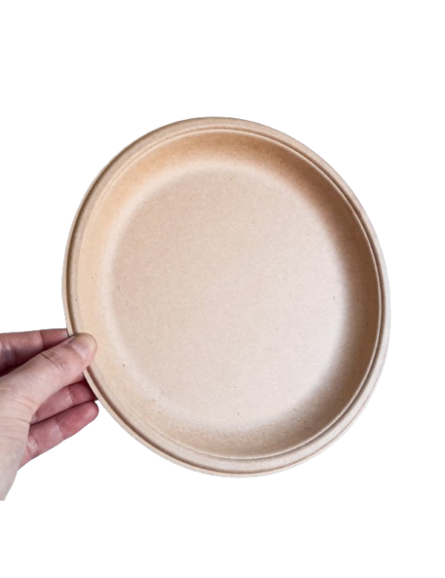 PLATO BIODEGRADABLE 22 CM...