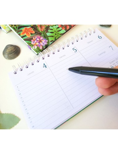 AGENDA FANTASIA POCKET...