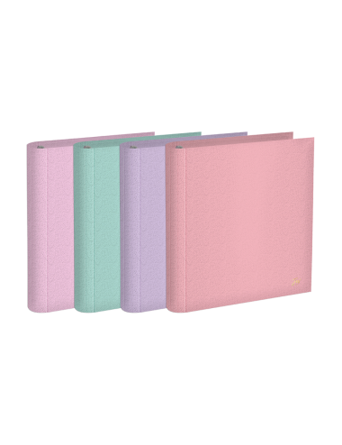 CARPETA ESCOLAR 3 ANILLOS...