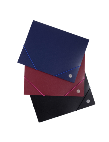 CARPETA CON ELASTICO...