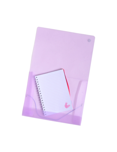 CARPETA CON ELASTICO...