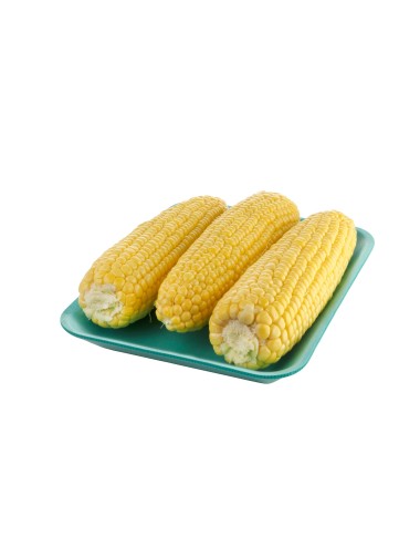 BANDEJA EXPANDIDO 619...