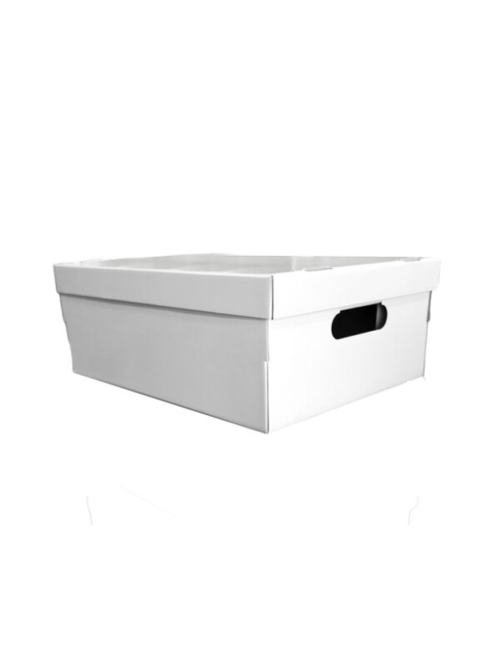 CAJA MEDIANA COLOR BLANCA...