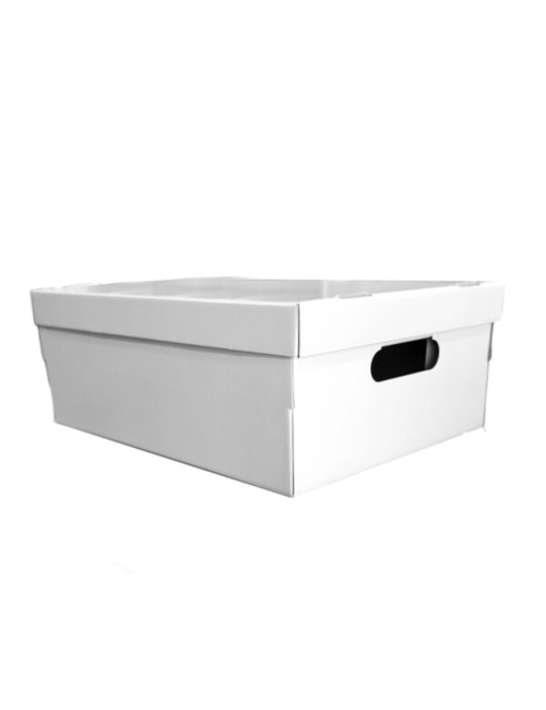 CAJA GRANDE COLOR BLANCA 44...