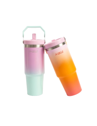 VASO TERMICO C/PICO FW...