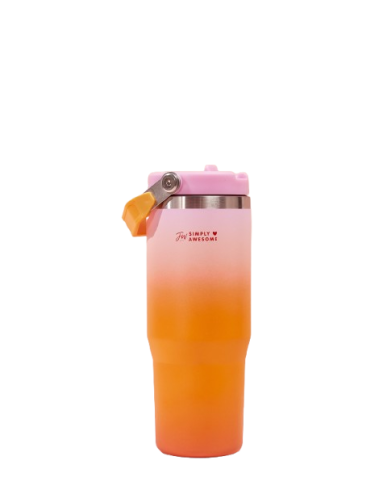 VASO TERMICO C/PICO FW...