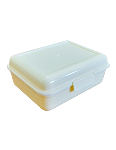 LUNCHERA RECTANGULAR 17.5 X...