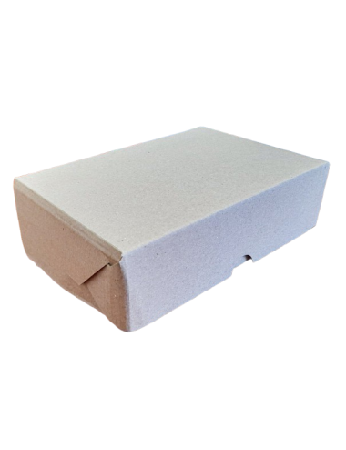 CAJA P/EMPANADA P/6 MICRO...