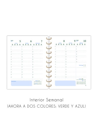 AGENDA CLASICA ESPIRAL 965...