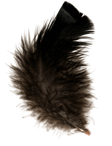 PLUMA ART200 NEGRA X 3.5GR...