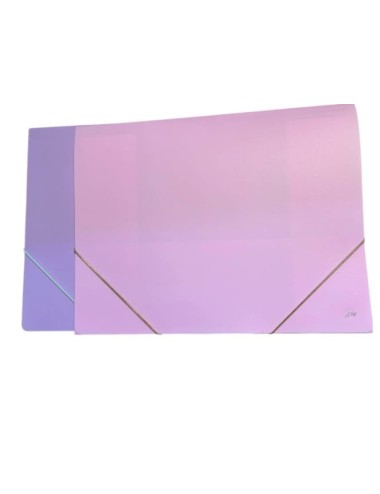 CARPETA CON ELASTICO...