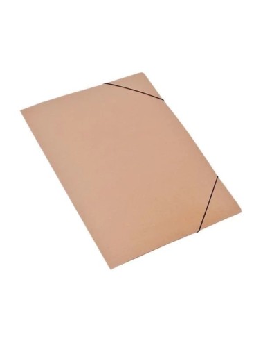 CARPETA CON ELASTICO KRAFT...