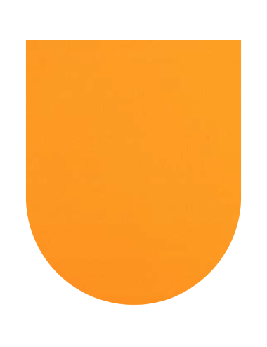 CARTULINA NARANJA FLUO 44,5...