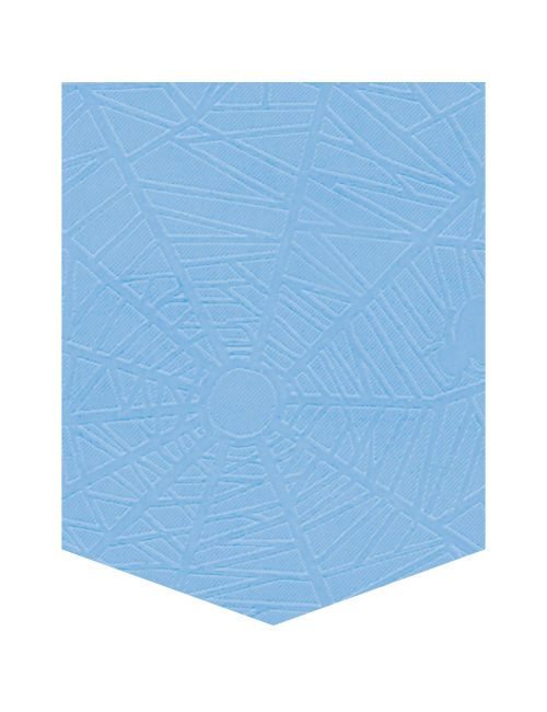 PAPEL ARA?A 50 X 70 CELESTE...