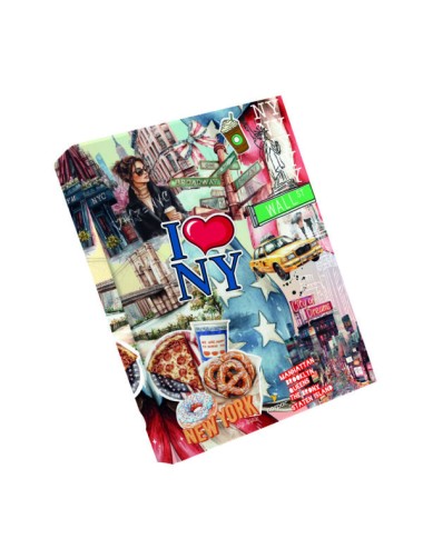 CARPETA A4 3 ANILLOS LIVELY...