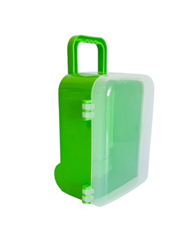 VALIJITA CARRY ON VERDE...