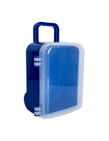 VALIJITA CARRY ON AZUL...