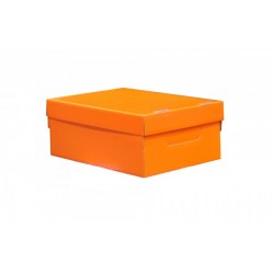 CAJA CHICA COLOR NARANJA 31...