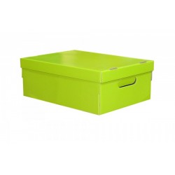 CAJA MEDIANA COLOR VERDE 39...