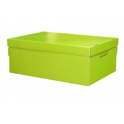 CAJA GRANDE COLOR VERDE 44...