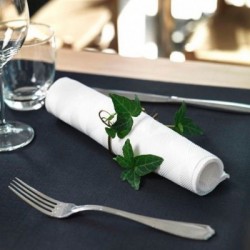 CAMINOS DC EVOLIN NEGRO X...