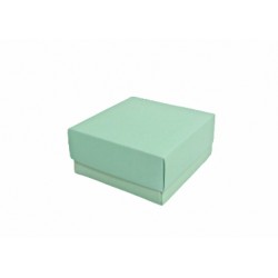 ESTUCHE CHICO AQUA 12 X 12...