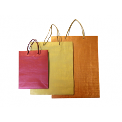 BOLSA LINEA SEDA N 2  12 X...