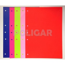 SEPARADOR DE MATERIAS A4...