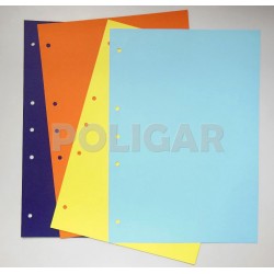 SEPARADOR DE MATERIAS N?5...