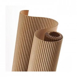 CARTON MICROCORRUGADO 50 X...