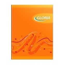 CUADERNO GLORIA RAYADO...