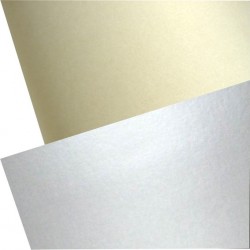 CARTULINA PLATA 44,5 X 63...