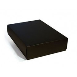 ESTUCHE EXTRA GRANDE NEGRO...