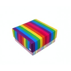 ESTUCHE MEDIANO RAINBOW 16...