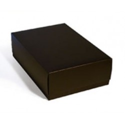 ESTUCHE GRANDE NEGRO 21 X...