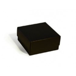 ESTUCHE CHICO NEGRO 12 X 12...