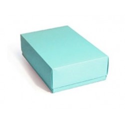 ESTUCHE GRANDE AQUA 21 X 31...