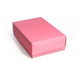 ESTUCHE GRANDE ROSA 21 X 31...