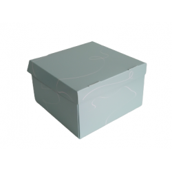 CAJA SORPRESA EXPLOSIVA...