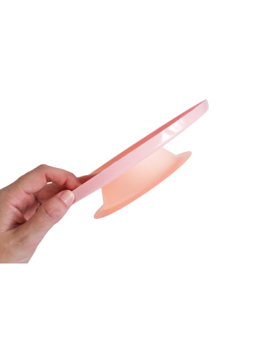 BASE PARA TORTA C/PIE ROSA...