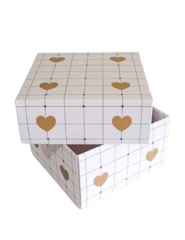 ESTUCHE MEDIANO CORAZONES...