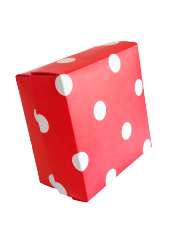 ESTUCHE CHICO LUNARES 12 X...