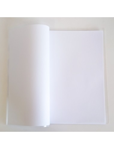 CARPETA PLASTICA A4 C/...