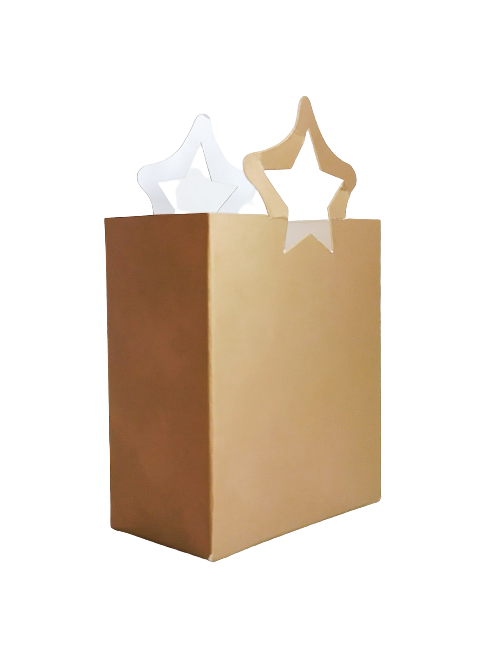 MINI BOLSA ESTRELLA DORADA...