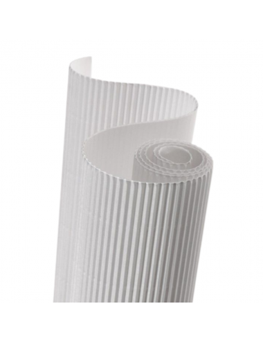 CARTON MICROCORRUGADO 50 X...