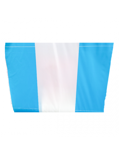 BANDERA ARGENTINA DE...